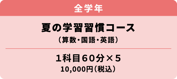 夏の学習習慣コース
