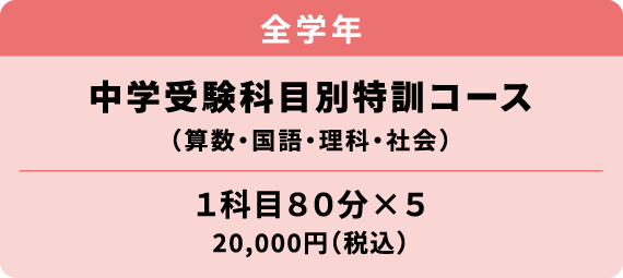 中学受験科目別特訓コース