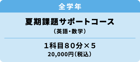 夏期課題サポートコース