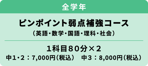 ピンポイント弱点補強コース